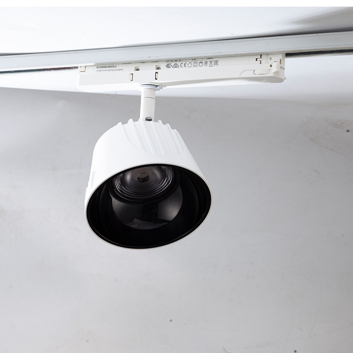 Smart Led Downlight